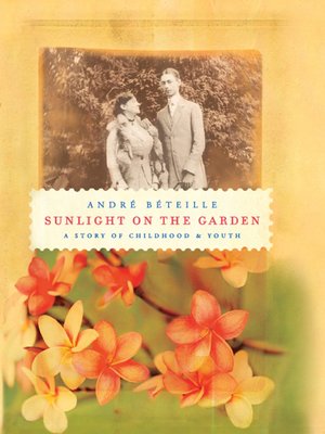 cover image of Sunlight on the Garden